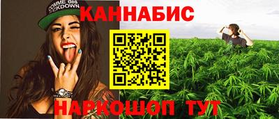 индика Ликино-Дулёво