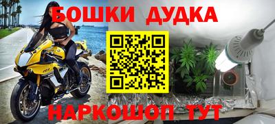 индика Ликино-Дулёво