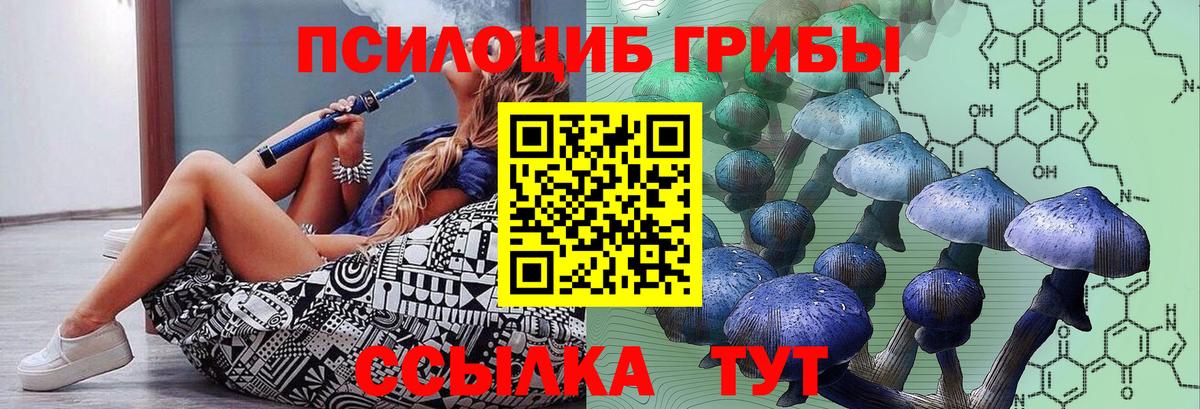 Галлюциногенные грибы мицелий Керчь